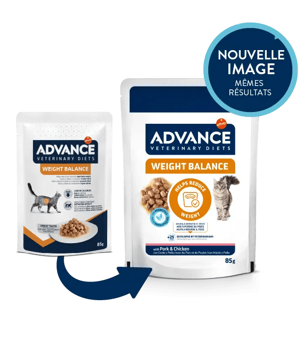 WEIGHT BALANCE