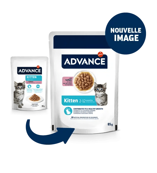 KITTEN AVEC DE LA DINDE EN POCHON