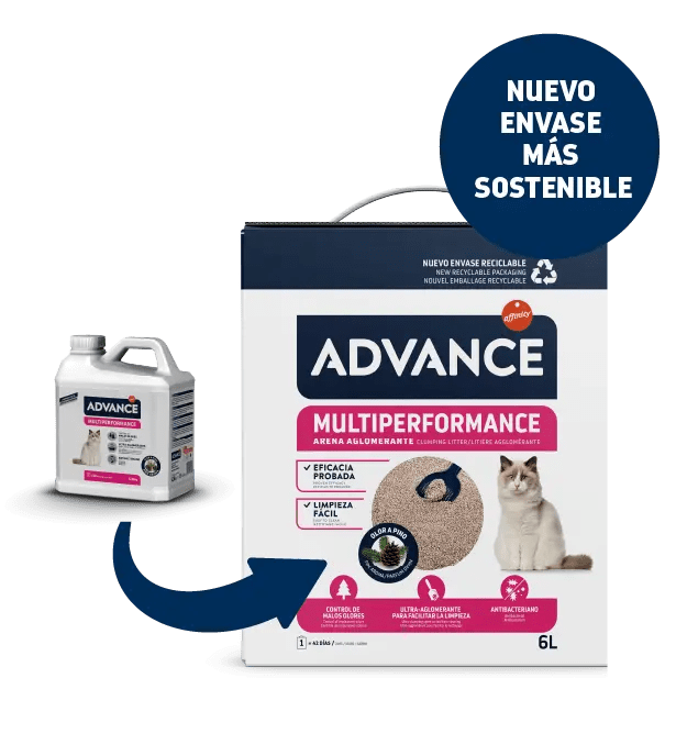 MULTIPERFORMANCE SORRA PER A GATS