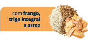 ARTICULAR