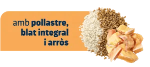 ARTICULAR