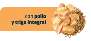 URINARY LOW CALORIE - STERILIZED