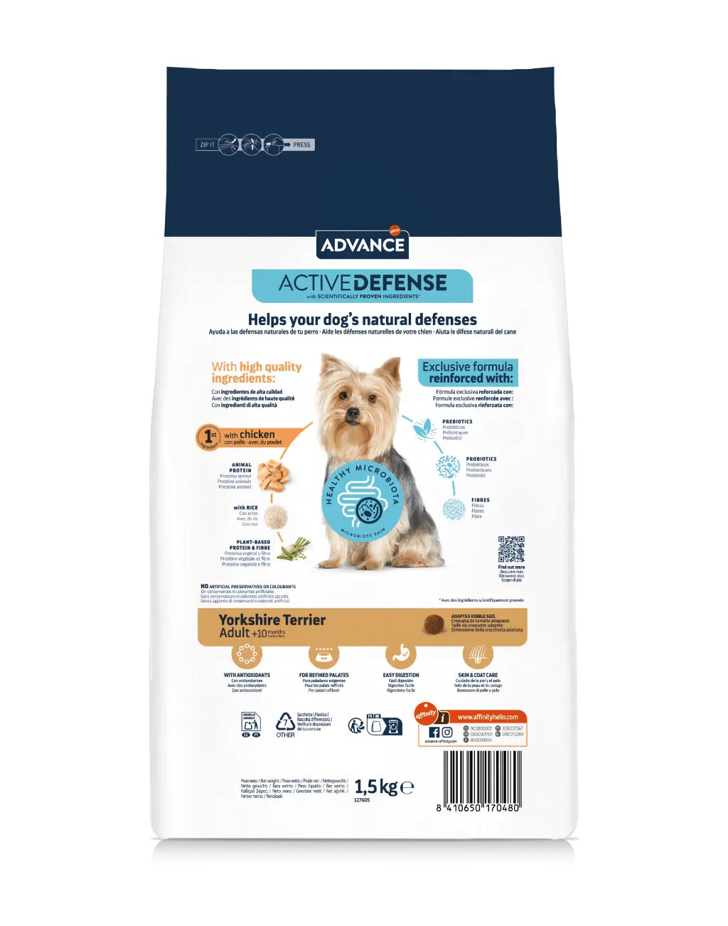 YORKSHIRE TERRIER